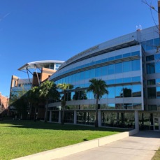 Central Florida, February 2020.jpeg
